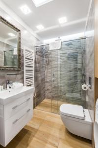 Un baño con ducha, inodoro y lavabo. en Happy Stay OldNova Deluxe Apartment 366, en Gdansk