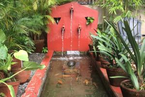 Vườn quanh Hotel Karuna