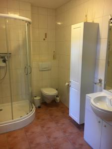 uma casa de banho com um chuveiro, um WC e um lavatório. em Ferienwohnung Holunderweg em Bad Doberan