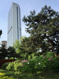 Zahrada ubytování Hyatt Regency Changchun