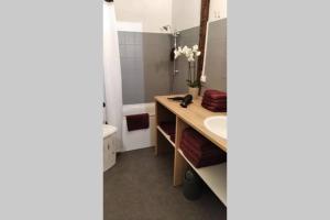 uma casa de banho com um lavatório, um WC e um espelho. em Le gîte de Georgette em Cour-Cheverny