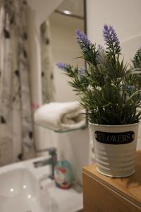 a potted plant sitting on a counter next to a sink at Monteurwohnung Oyten bei Bremen A1 dat Landhuus in Oyten