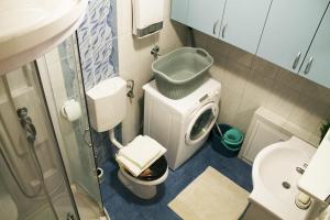Koupelna v ubytování Apartma Pegaz