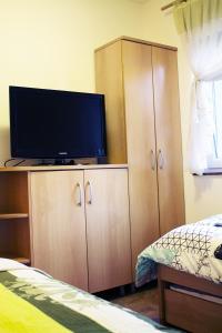 TV a/nebo společenská místnost v ubytování Apartma Pegaz