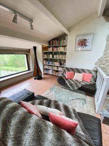 uma sala de estar com um sofá e uma estante de livros em Domaine de La Michelle em Madaillan