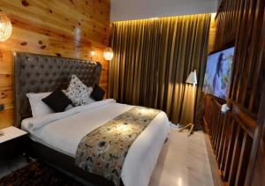 1 dormitorio con 1 cama grande y TV en Kasauli Hills Resort, en Kasauli