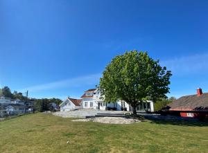 a white house with a tree in a field at Kragerø Sportell & Apartments in Kragerø