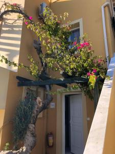 a bonsai tree on the side of a building at Sandy Beach Villas and Apartments in Svoronata