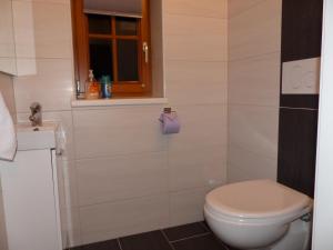 a bathroom with a white toilet and a window at Ferienhaus Göstling in Göstling an der Ybbs