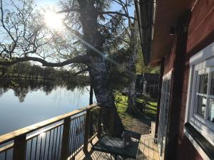 SmedjebackenLottas stuga的相册照片