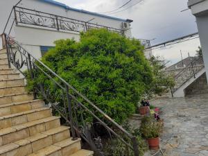 Gallery image of Rooms village center in Spile