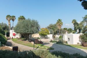 a driveway leading to a park with palm trees at HI - Maayan Harod Hostel in Gid‘ona