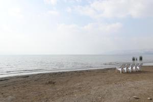 Imagen de la galería de HI - Karei Deshe Hostel, en Khirbet Minim