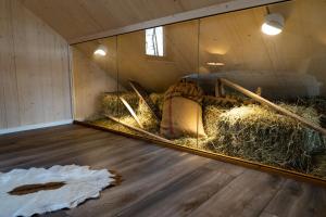 Fotografie z fotogalerie ubytování Ferienhäuser Saalemaxx v destinaci Rudolstadt