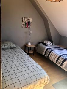 um quarto com 2 camas num sótão em La Maison d'Amélie em La Chapelle-Saint-Aubert