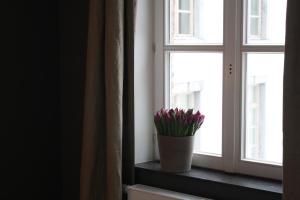 Fotografie z fotogalerie ubytování B&B Les Dépendances v destinaci Namur