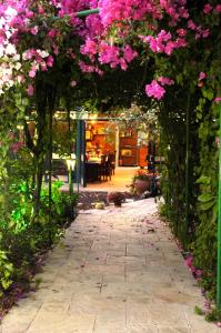 a walkway covered in pink flowers in a garden at Arbel Guest House Shavit Family in Arbel