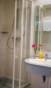 ein Bad mit einer Dusche und einem Waschbecken in der Unterkunft Hotel Morjan in Koblenz