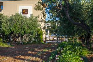 un jardin avec des arbres, une clôture et un bâtiment dans l'établissement Il Gallo Con Gli Stivali, à Termoli