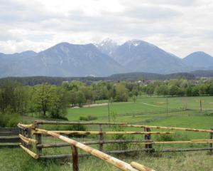 Příroda nedaleko apartmánu