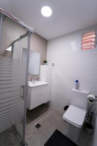 a bathroom with a toilet and a sink at Neviot in Eilat +22 photos