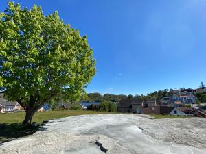 a tree sitting on top of a large rock at Kragerø Sportell & Apartments in Kragerø