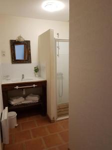 a bathroom with a sink and a shower with a mirror at Les Roberderies in Broc
