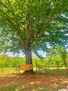 Zahrada ubytování Villa Meadow
