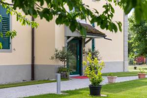 Vrt pred nastanitvijo VILLA TAEGERMOOS