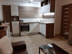 Kuchyň nebo kuchyňský kout v ubytování Apartmán pod hradem