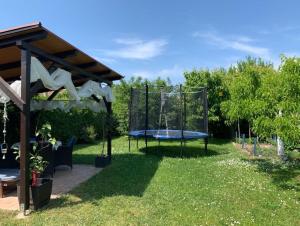 trampolina w trawie na dziedzińcu w obiekcie Jorgos Apartman w mieście Keszthely