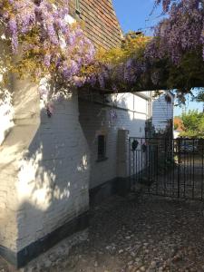 a white building with purple flowers hanging from it at The Tea House in Rye