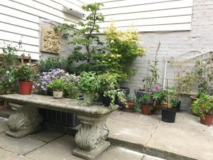 a bunch of potted plants sitting on a stone bench at The Tea House in Rye
