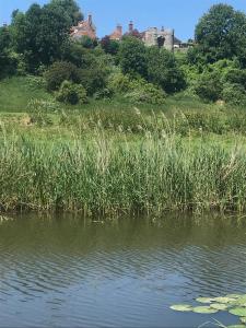 a field of tall grass next to a body of water at The Tea House in Rye