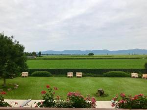 dos sillas en un campo con montañas en el fondo en Gästehaus Vinetum, en Altdorf