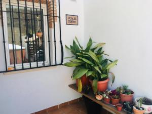 Fotografia z galérie ubytovania Casa San Tomas v destinácii Güéjar-Sierra