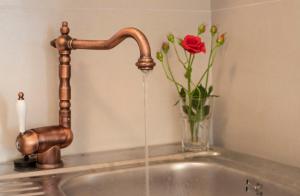 a sink with a water faucet and a vase of flowers at Old Stone Villa Lalosevic in Kotor +26 photos