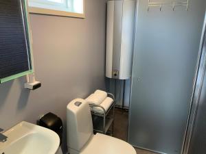 a bathroom with a toilet and a sink at Evedals Camping Växjö in Växjö