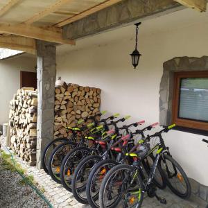 Jazda na bicykli v okolí ubytovania Pienińskie Herbarium dobre samopoczucie, wellness, mini zoo, poczujesz folklor Pienin