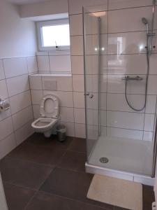 a bathroom with a shower and a toilet at Abtei Apartment Brauweiler in Pulheim