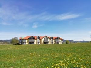 ein großes Haus auf einem Grasfeld in der Unterkunft Lipno - Seepark Residence in Horní Planá