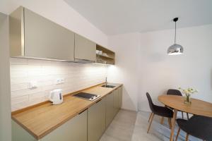Kuchyň nebo kuchyňský kout v ubytování Apartmány Dačický 1
