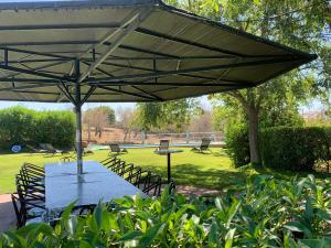 Giões的住宿－Casa Monte da Eira，公园伞下的野餐桌