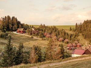 Príroda v okolí horskej chaty