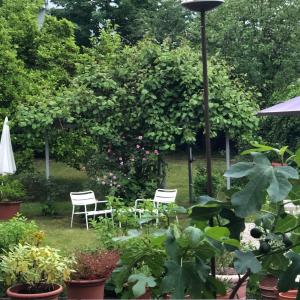 
Ein Garten an der Unterkunft Villa zur Erholung Bed & Breakfast
