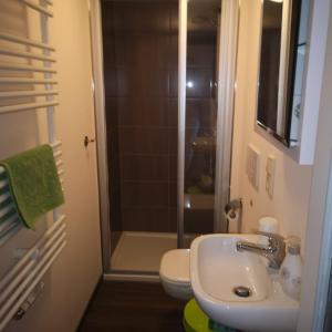 a bathroom with a sink and a toilet and a shower at Ferienhof Plotzen in Hochkirch +27 photos