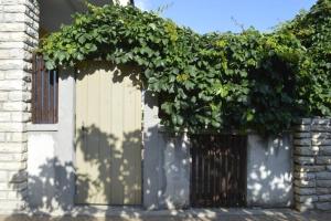 Gallery image of Private studio apartment with a garden and a terrace in Tisno