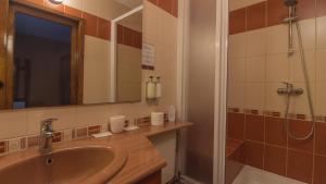 y baño con lavabo y ducha con espejo. en Pension La Fontana en Baia Mare