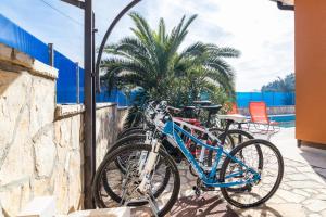 Jazda na bicykli v okolí ubytovania Villa Veronica with great sea view & private pool - calm & relax holidays in Istria