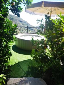 A garden outside Casa Fuente Hervera